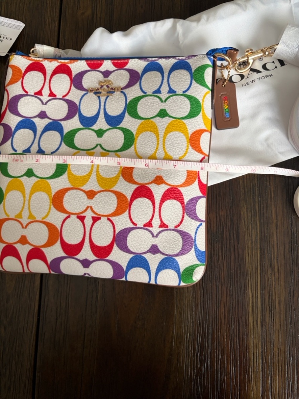 Coach Jes Rainbow 🌈 Collecton - Picture 14 of 15